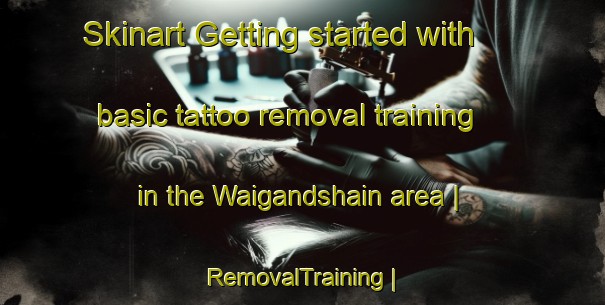 Skinart Getting started with basic tattoo removal training in the Waigandshain area | RemovalTraining | RemovalClasses | SkinartTraining-Germany